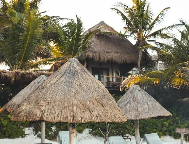 Encantada Tulum hotel detail image 2