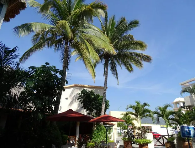 Hotel Palapa Palace hotel detail image 3