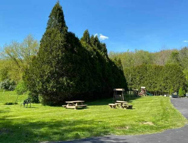 The Villager Motel hotel detail image 4