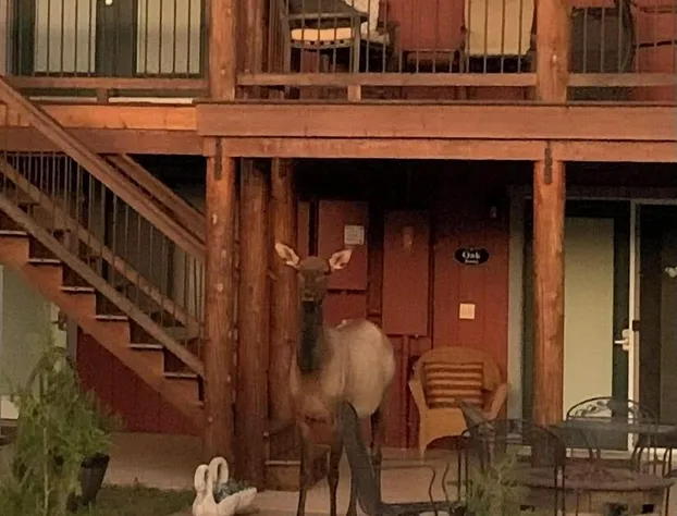 Beeline Guest House hotel detail image 2