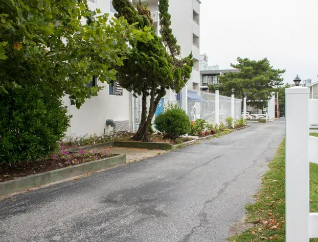 The Barefoot Mailman hotel detail image 1