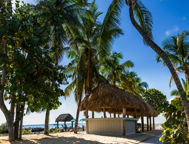 Amoray Dive Resort hotel detail image 4