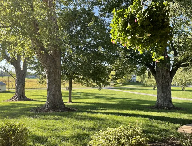 Silver Lake Bed and Breakfast hotel detail image 2