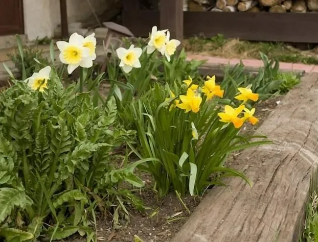 Joe-Lin Station Bed & Breakfast hotel detail image 2
