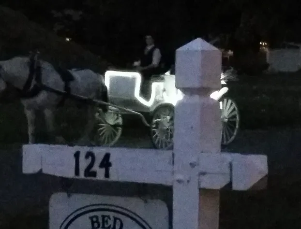 Serendipity Bed and Breakfast hotel detail image 1