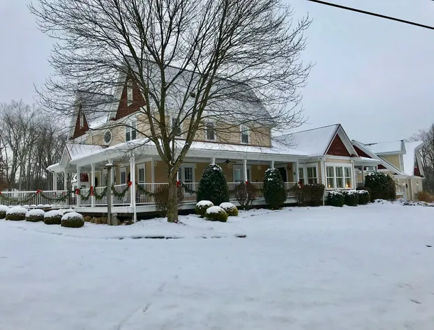 Chapel Valley Estate bed & breakfast hotel detail image 3