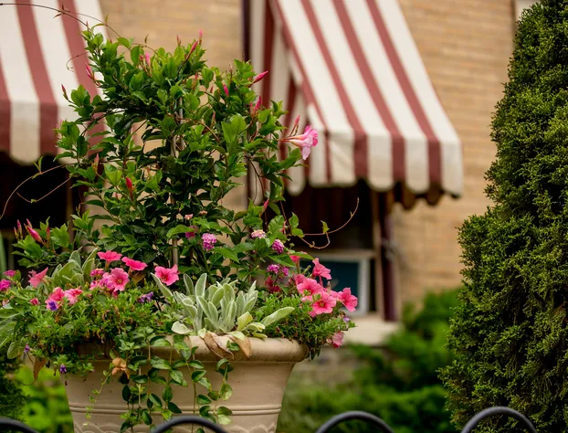 Weller Haus Bed, Breakfast & Event Center hotel detail image 2