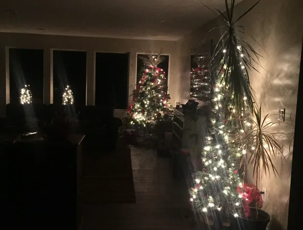 Anglers Roost hotel detail image 3