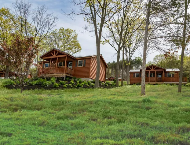 Single Island Shores hotel detail image 1