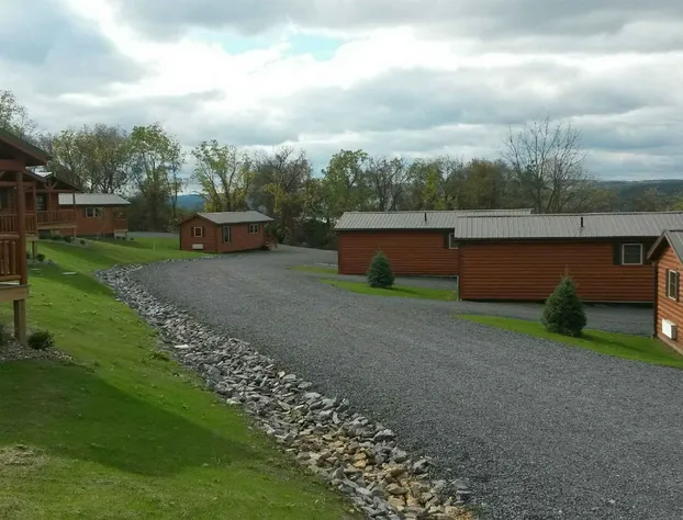 Single Island Shores hotel detail image 2