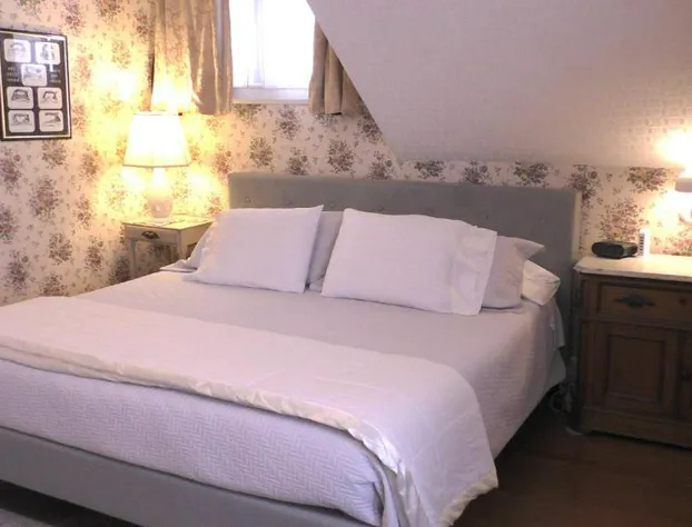 Old Iron Inn Bed and Breakfast hotel detail image 2