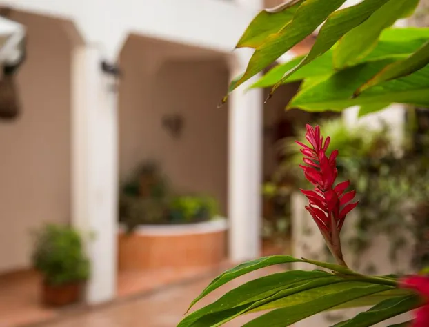 Posada Kin hotel detail image 4