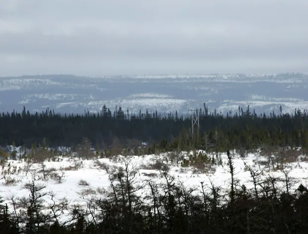 Genevieve Bay Inn hotel detail image 2