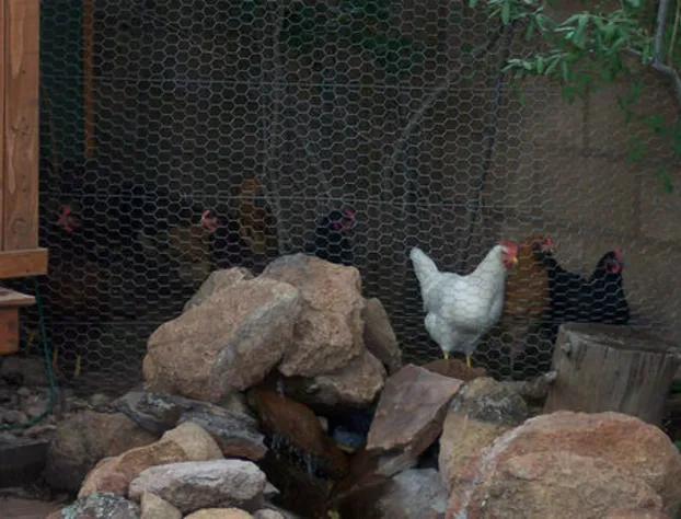 Elden Trails Bed and Breakfast hotel detail image 2