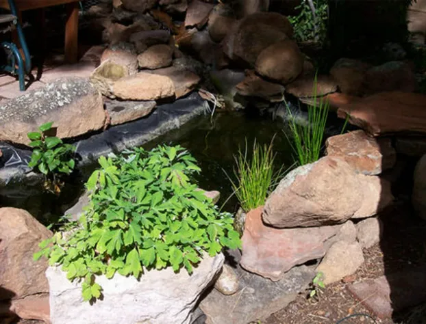 Elden Trails Bed and Breakfast hotel detail image 3