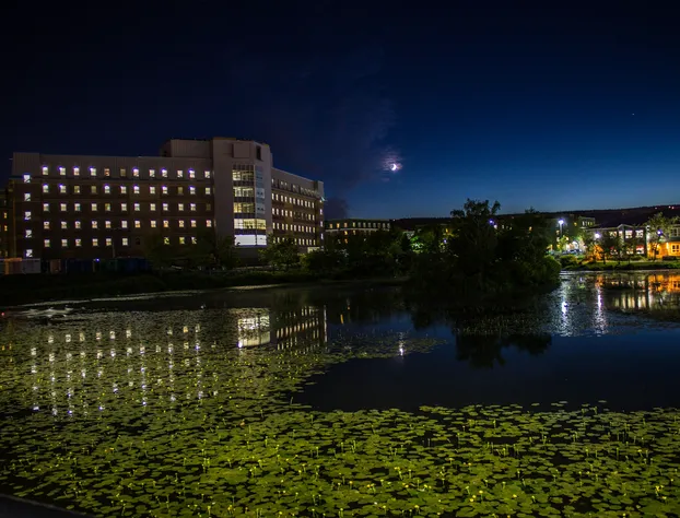 Memorial University hotel detail image 4