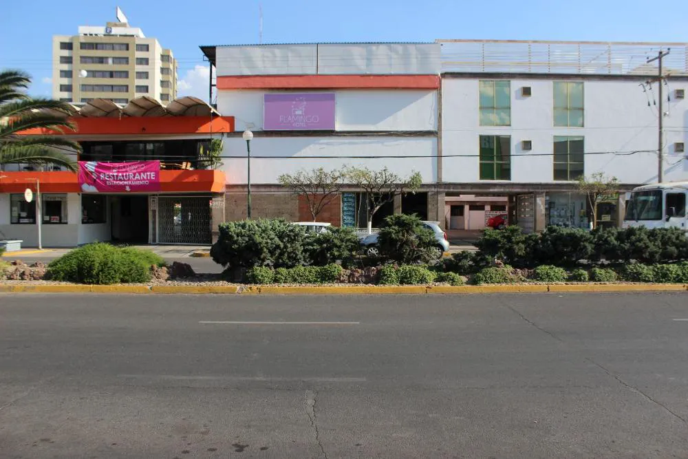 Hotel Flamingo Irapuato hotel hero