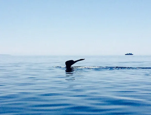 The Florian Hotel hotel detail image 1