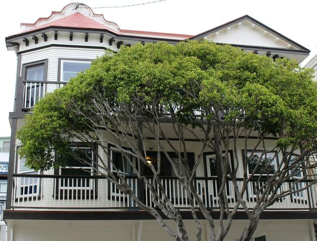 Hermosa Hotel hotel detail image 2
