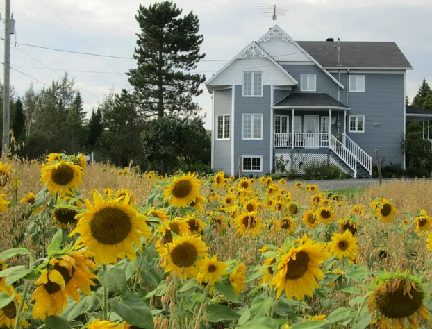 Le Jardin des Mésanges hotel detail image 2