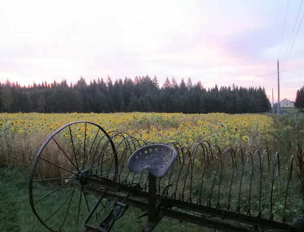 Le Jardin des Mésanges hotel detail image 3