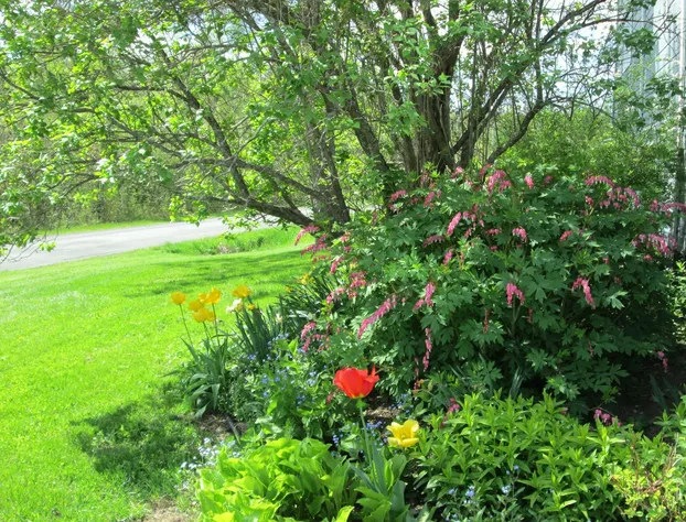 Le Jardin des Mésanges hotel detail image 4