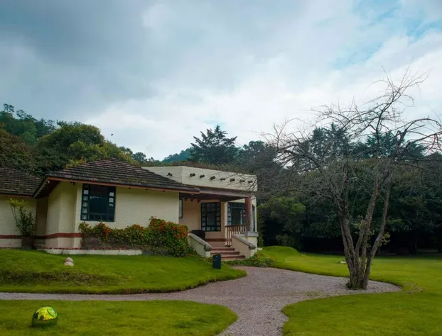 Hotel Bosques del Sol Suites hotel detail image 2