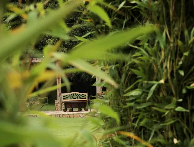 Hotel Bosques del Sol Suites hotel detail image 3