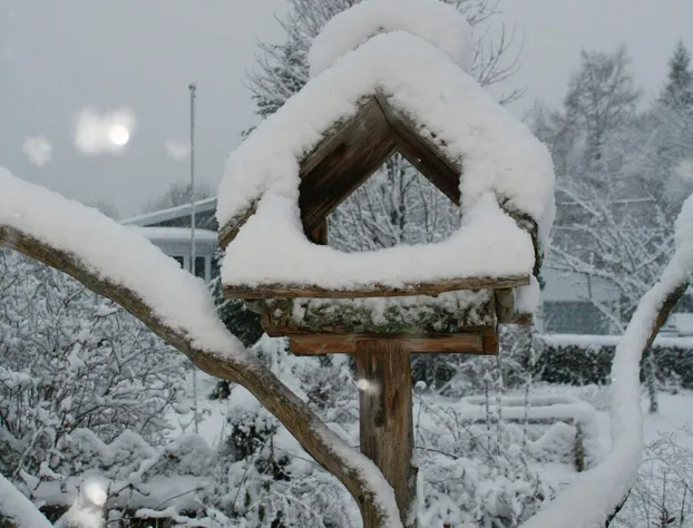 Auberge Wanta-Qo-Ti hotel detail image 4