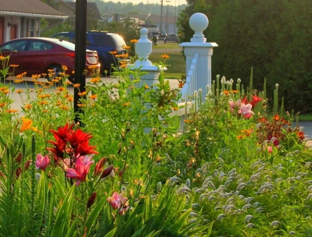 Plaza Motor Motel hotel detail image 2