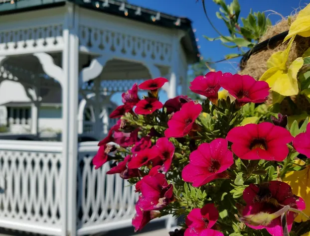 Plaza Motor Motel hotel detail image 3