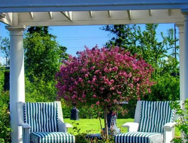 Plaza Motor Motel hotel detail image 4