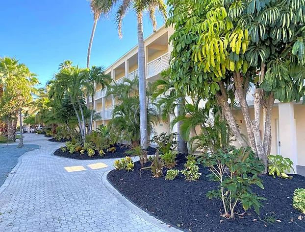 Divi Carina Bay Beach Resort & Casino Adult Only - All Inclusive hotel detail image 1