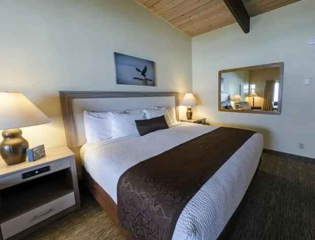 Fireside Motel hotel detail image 3