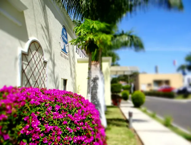 Hotel Las Palomas Tepic Express hotel detail image 3