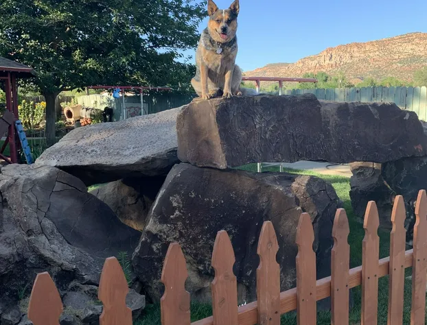 Zions Backyard Bed and Breakfast hotel detail image 2