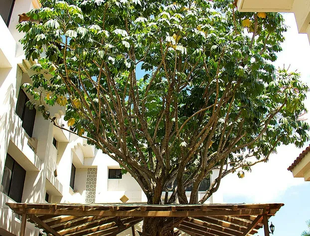 EH Ejecutivo Urban Hotel hotel detail image 2