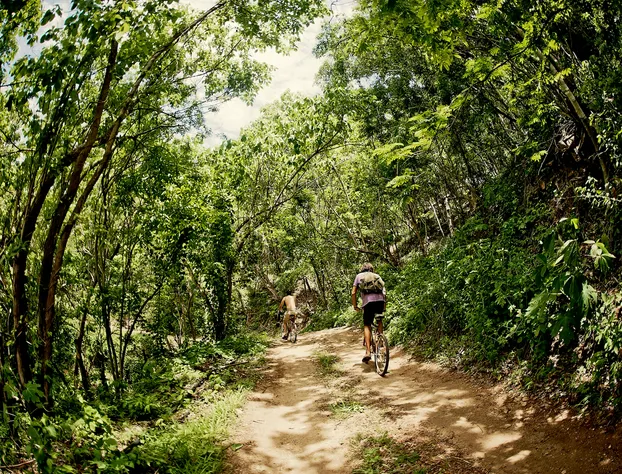 Casa Morena hotel detail image 2