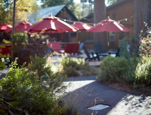 Evergreen Lodge Yosemite hotel detail image 4