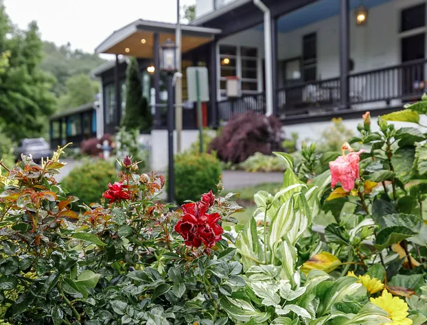 The Inn At Warm Springs hotel detail image 1