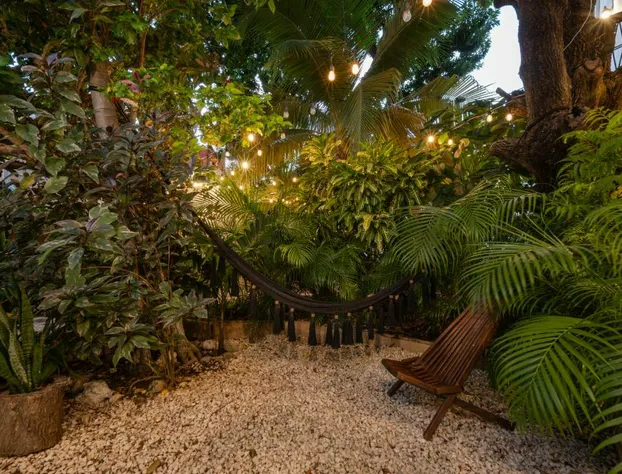 Hotel Caracol Isla Mujeres hotel detail image 2