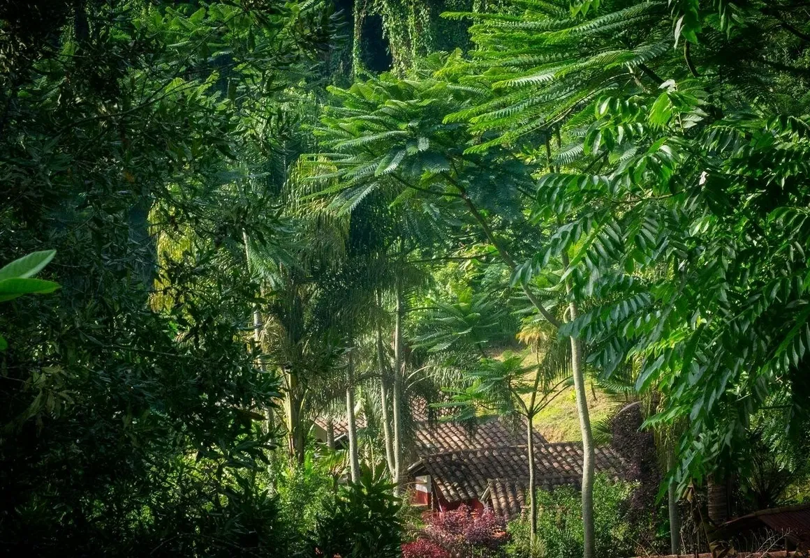 Eco Hotel La Jicarita hotel hero