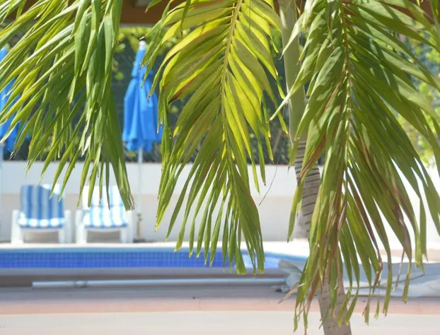 Hotel Acapulco Amor hotel detail image 3