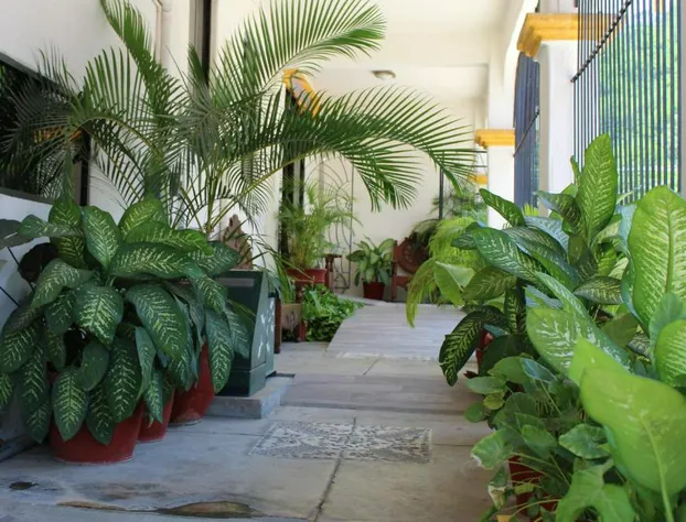 Hotel Arrecife Plus hotel detail image 2