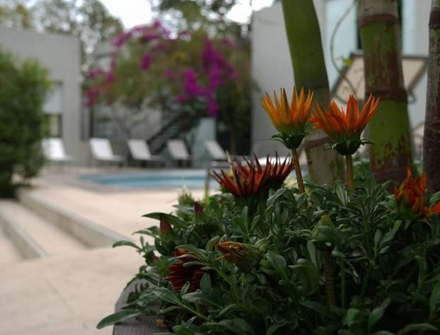 Casa Tepoztlán hotel detail image 3