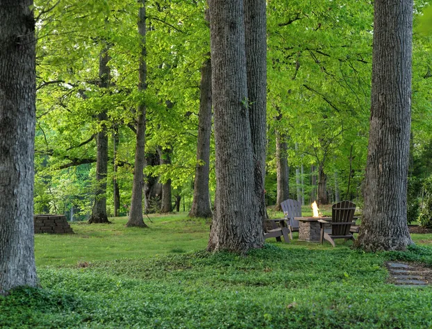 Foxfield Inn hotel detail image 4