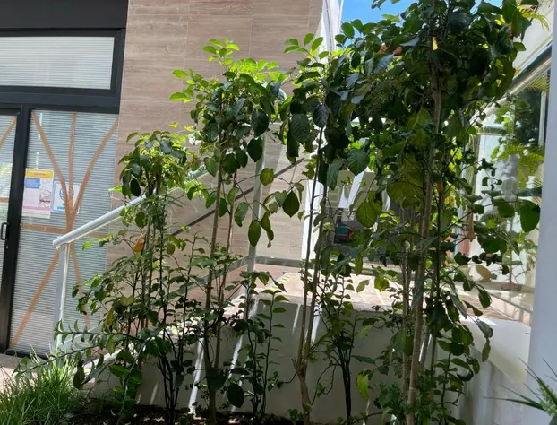 Hotel Villa Escondida Campeche hotel detail image 2