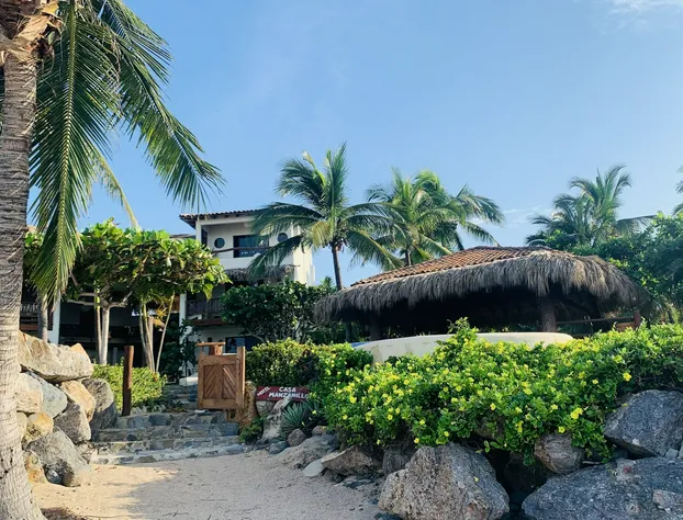 Casa Manzanillo Boutique Hotel hotel detail image 4