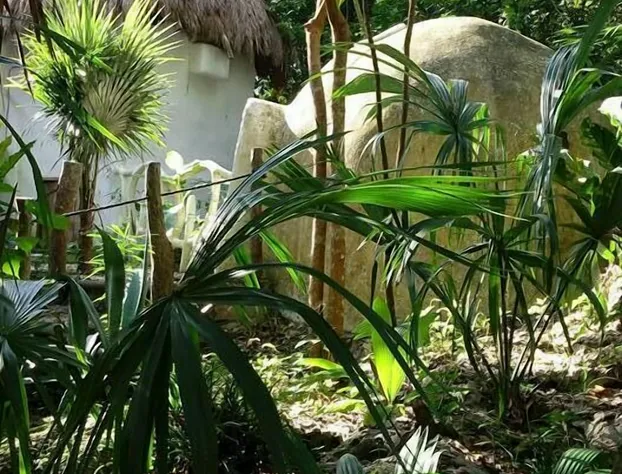 Kambulum Nature Eco-Villas hotel detail image 1