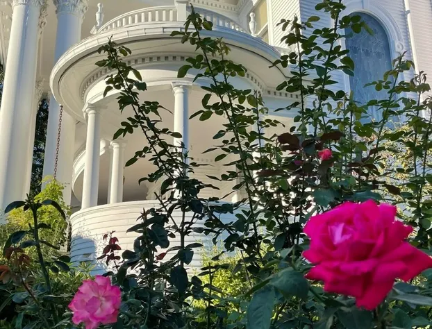 The Gibson Mansion hotel detail image 2